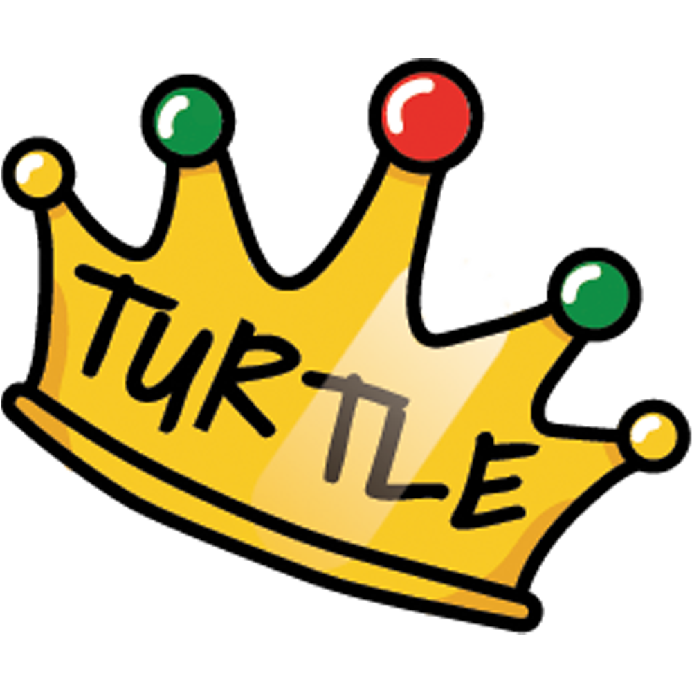 Hyper Turtle Hyper Turtles